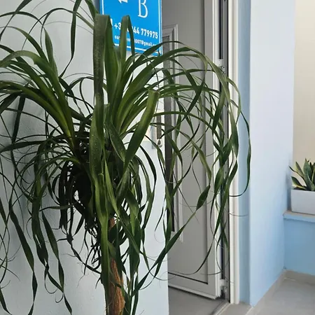 Oasis 007 עיר רודוס