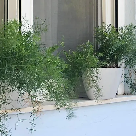 Apartment Oasis 007 *