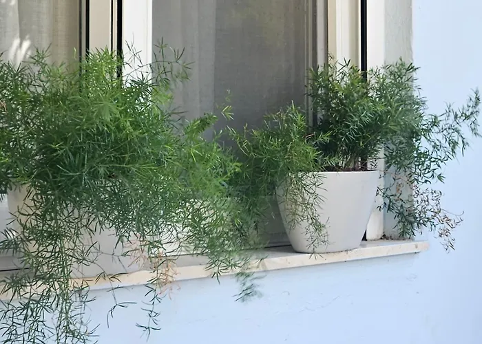 Appartement Oasis 007 *